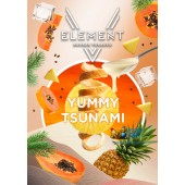 Табак Element V Yummy Tsunami (Десерт Экзотические Фрукты Хвоя 5 Элемент) 25г Акцизный